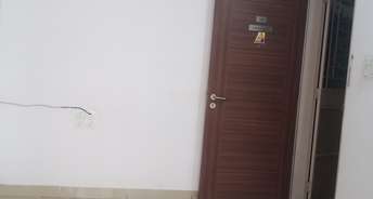 1 BHK Apartment For Rent in Nanded Mangal Bhairav Sinhagad Pune 6402310