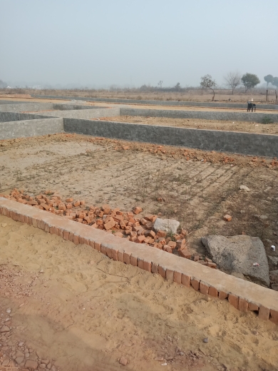 Plot For Resale in Dankaur Greater Noida  6402579