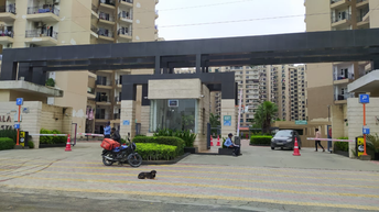 2 BHK Apartment For Resale in Nirala World Estate I Noida Ext Tech Zone 4 Greater Noida  6402873
