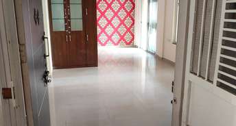 2 BHK Apartment For Resale in Sukhwani Callisto Wakad Pune 6402882