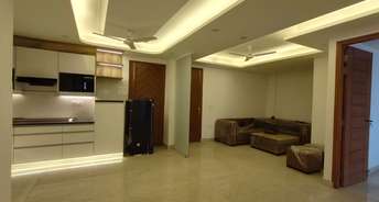 3 BHK Apartment For Rent in Freedom Fighters Enclave Saket Delhi 6403429