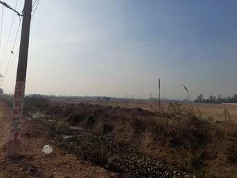  Plot For Resale in Sector 49 Faridabad 6403474
