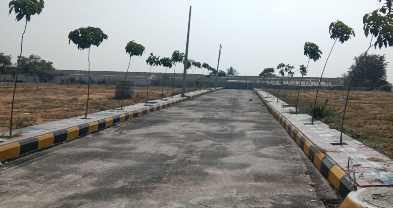 Plot For Resale in Pasumamula Hyderabad  6403857