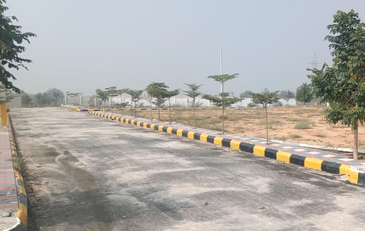 Plot For Resale in Shamirpet Hyderabad  6403871