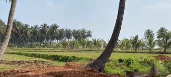 Commercial Land 2 Acre For Resale In Palahalli Mysore 6403950