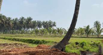 Commercial Land 2 Acre For Resale In Palahalli Mysore 6403950