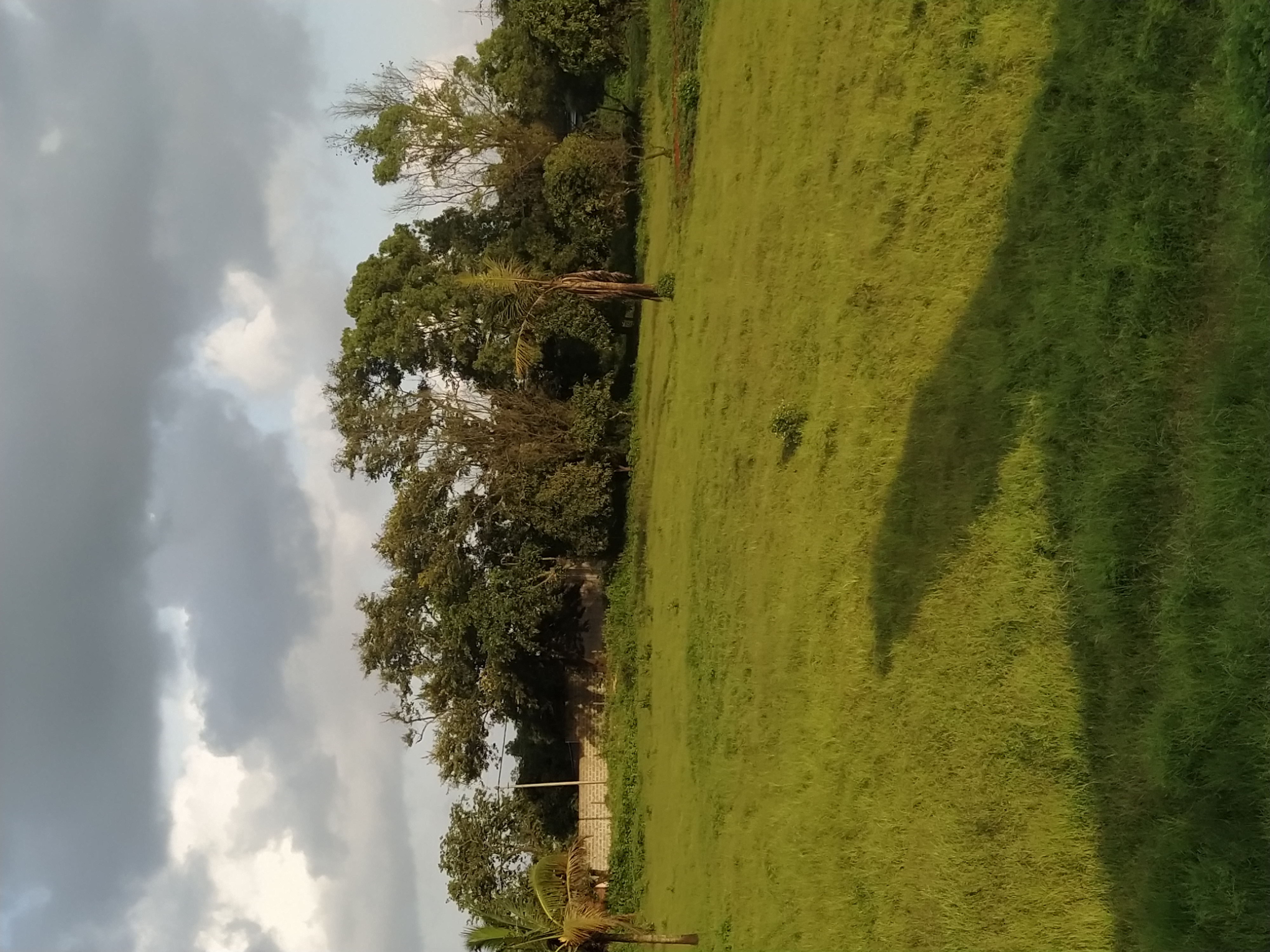 Resale Commercial Land 16380 Sq.Ft. in Ganeshpur Belgaum 6404108