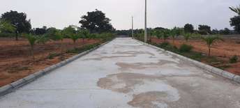  Plot For Resale in Sangareddy Hyderabad 6404138