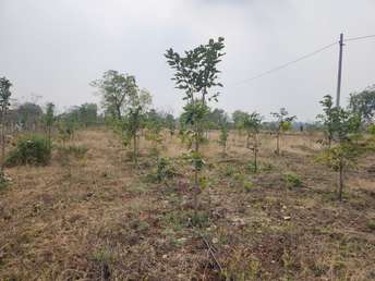 Plot For Resale in Narayankhed Hyderabad  6404161