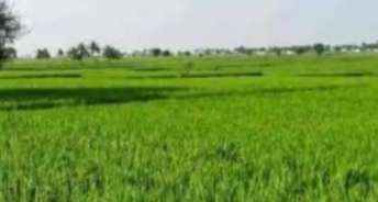 Commercial Land 3 Acre For Resale In Gt Road Kurukshetra 6404662