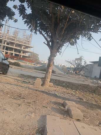  Plot For Resale in South City 1 Gurgaon 6404858