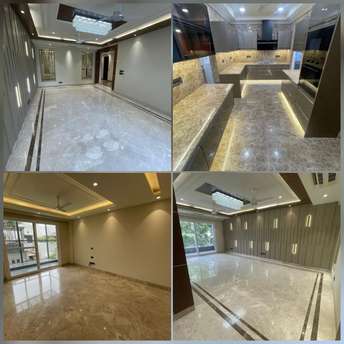 3 BHK Builder Floor For Resale in Dlf Phase ii Gurgaon  6405927