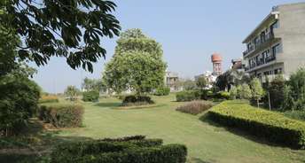  Plot For Resale in Royale Gardens Premium Patiala Road Zirakpur 6406049