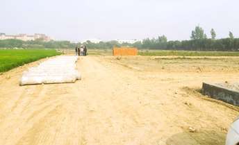  Plot For Resale in Knowledge Park ii Greater Noida 6406162