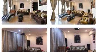 3 BHK Apartment For Rent in Lodha Sterling Tower K Kolshet Road Thane 6406678