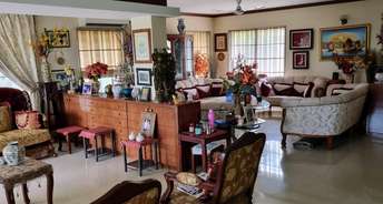 6+ BHK Villa For Resale in Shivajinagar Pune 6407549