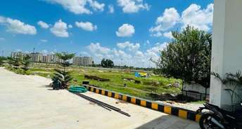  Plot For Resale in Kailasha Enclave Sultanpur Road Lucknow 6407593