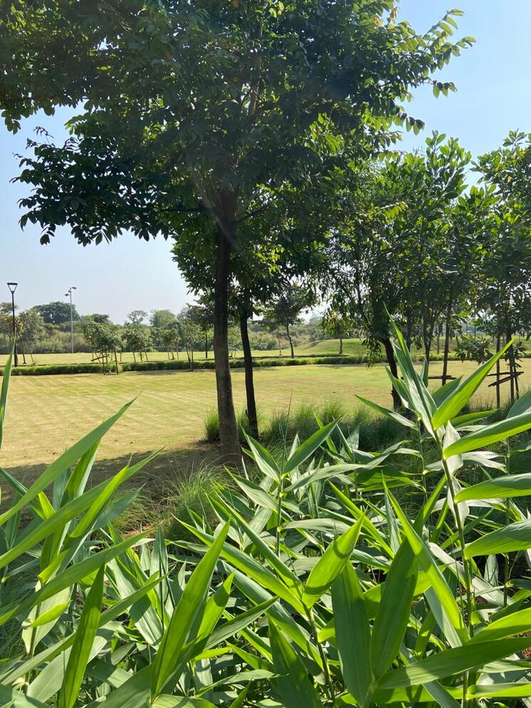 Master Bedroom, godrej-riviera 1 Bedroom 413 Sq.Ft. Apartment In Ambivali Thane 6407616