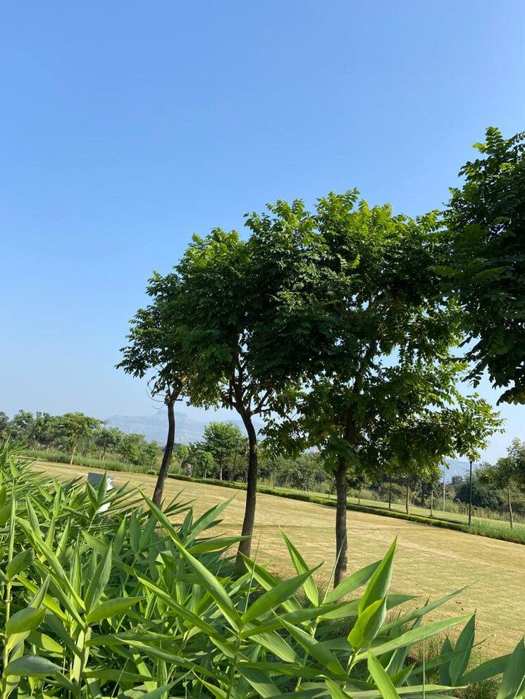 Master Bedroom, godrej-riviera 2 Bedroom 502 Sq.Ft. Apartment In Ambivali Thane 6407617