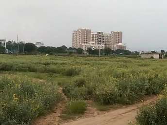 Commercial Land 5500 Sq.Ft. For Rent in Jafrapur Ayodhya  6407050