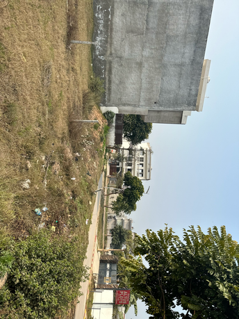  Plot For Resale in Mullanpur Chandigarh 6408240