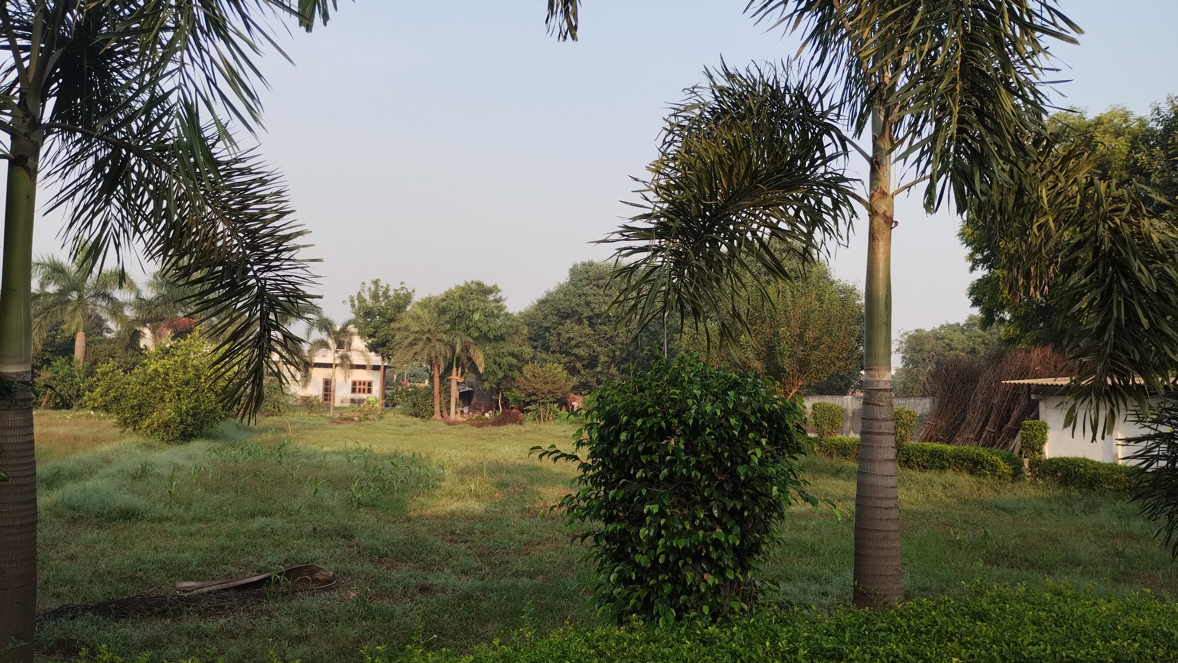 Plot For Resale in Ballabhgarh Faridabad  6408879