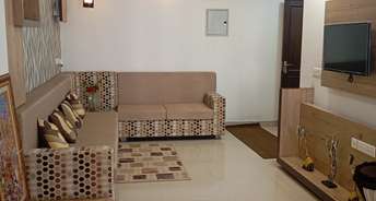 3 BHK Apartment For Resale in Jaisinghpura Jaipur 6408885