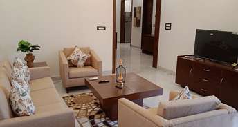 4 BHK Apartment For Rent in TDI Ourania Sector 53 Gurgaon 6408887