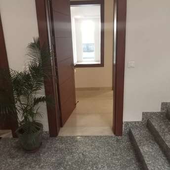 3 BHK Builder Floor For Rent in Safdarjang Enclave Delhi 6409098