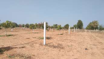  Plot For Resale in Yacharam Hyderabad 6410166
