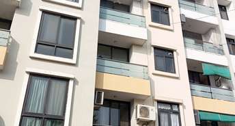 3 BHK Apartment For Rent in C Scheme Jaipur 6410888