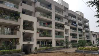 3 BHK Builder Floor For Resale in Panchsheel Primrose Independent Floors Govindpuram Ghaziabad 6410999