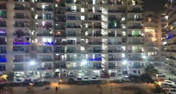 1 BHK Apartment For Rent in AVL 36 Gurgaon Sector 36 Gurgaon 6411279
