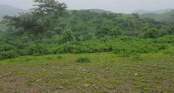 Commercial Land 2400 Sq.Ft. For Resale In Pogathota Nellore 6411415