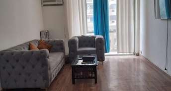 3 BHK Apartment For Rent in DLF The Carlton Estate Dlf Phase V Gurgaon 6411988