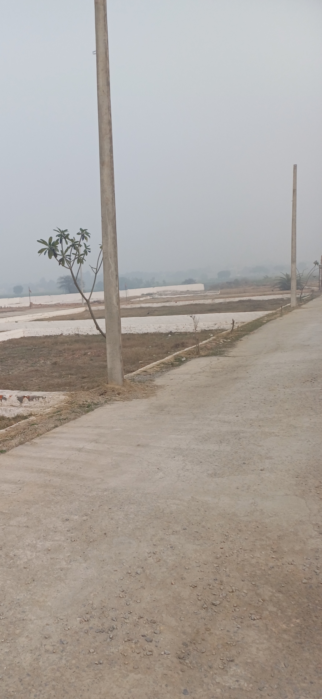 Commercial Land 505 Sq.Yd. For Resale in Jewar Greater Noida  6412596