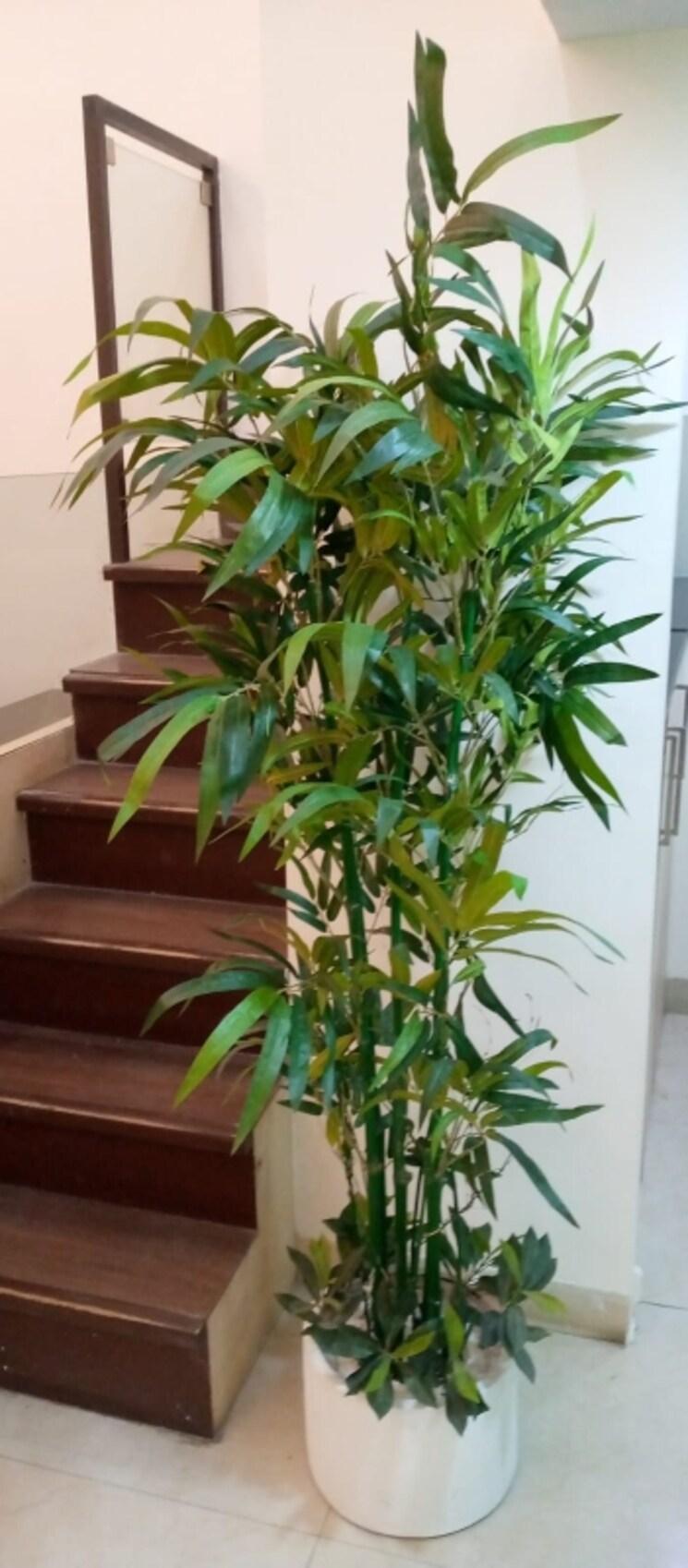 undefined, crystal-plaza-andheri-west Commercial Office Space 590 Sq.Ft. In Andheri West Mumbai 6412995