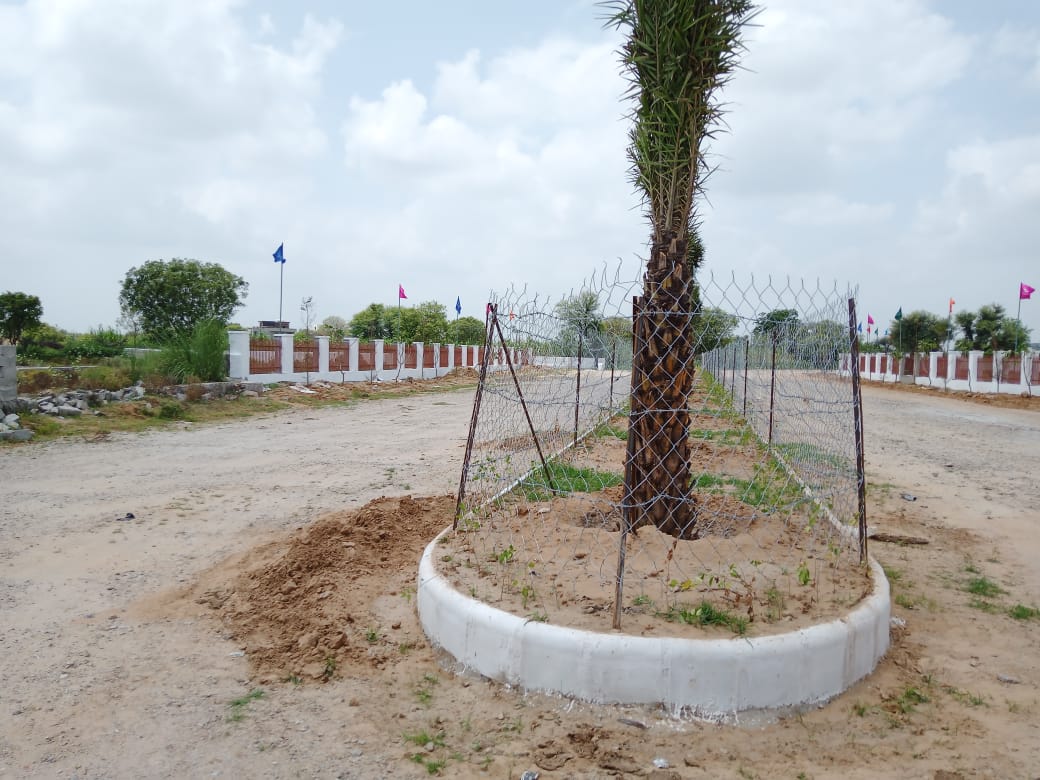 Plot For Resale in Ajmer Road Jaipur  6413700