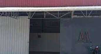 Commercial Warehouse 1800 Sq.Ft. For Rent In Sector 66 A Mohali 6414735