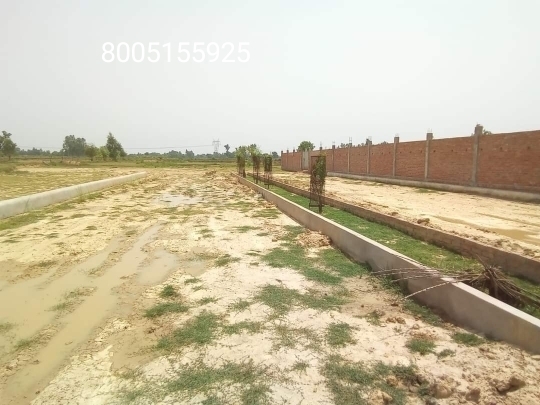 Plot For Resale in Telibagh Lucknow  6414868