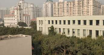 3 BHK Apartment For Resale in DLF Exclusive Floors Sector 53 Gurgaon 6415103