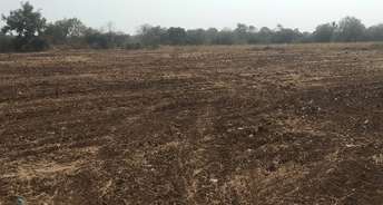 Commercial Land 1 Acre For Resale In Vikarabad Hyderabad 6415437