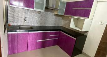 1 BHK Apartment For Rent in Blue Carnation Hadapsar Pune 6415815