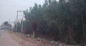 Commercial Land 36000 Sq.Yd. For Resale In Patiala Road Zirakpur 6416696
