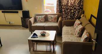 3 BHK Apartment For Rent in Amrapali Exotica Sector 50 Noida 6416939