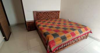 4 BHK Apartment For Rent in Saya Zenith Ahinsa Khand ii Ghaziabad 6417001