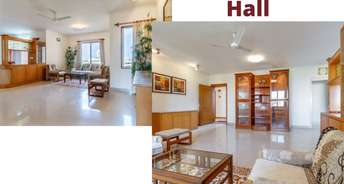 3 BHK Apartment For Rent in Vascon Eves Garden Baner Pune 6417200