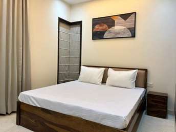 1 BHK Apartment For Rent in Puravankara Purva Westend Hosur Road Bangalore 6417362