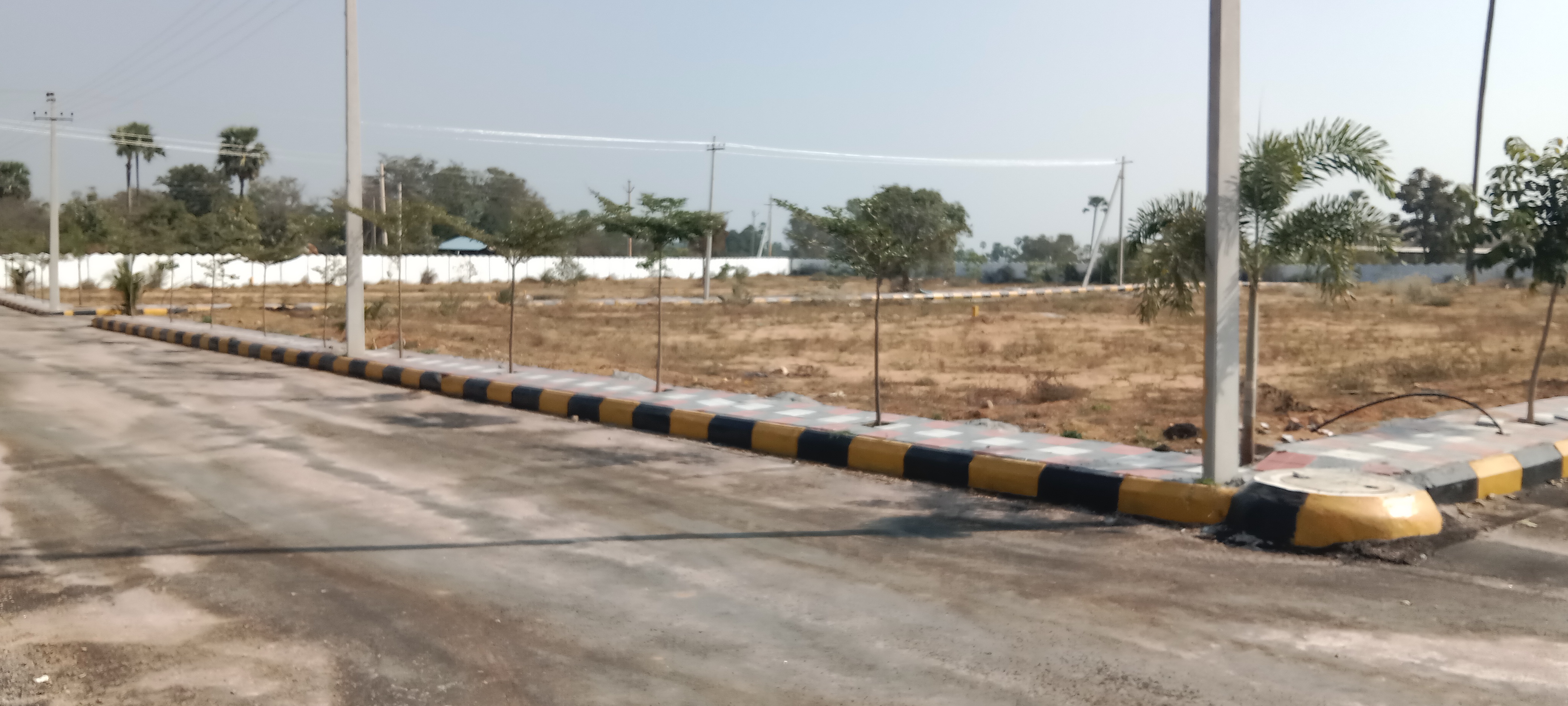  Plot For Resale in Yousufguda Hyderabad 6417658