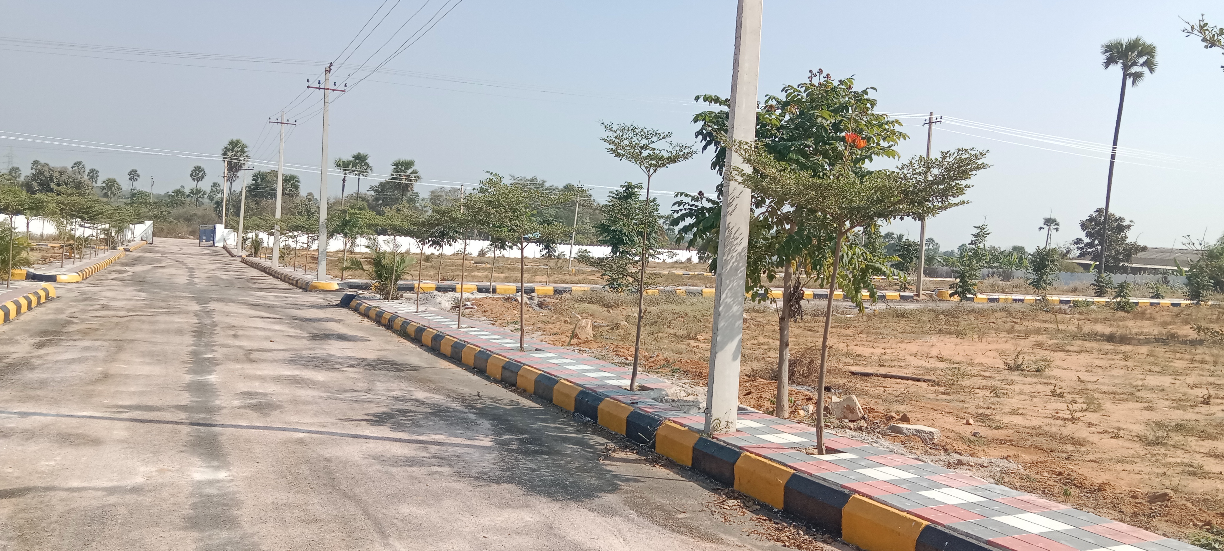 Plot For Resale in Kollur Hyderabad  6417673